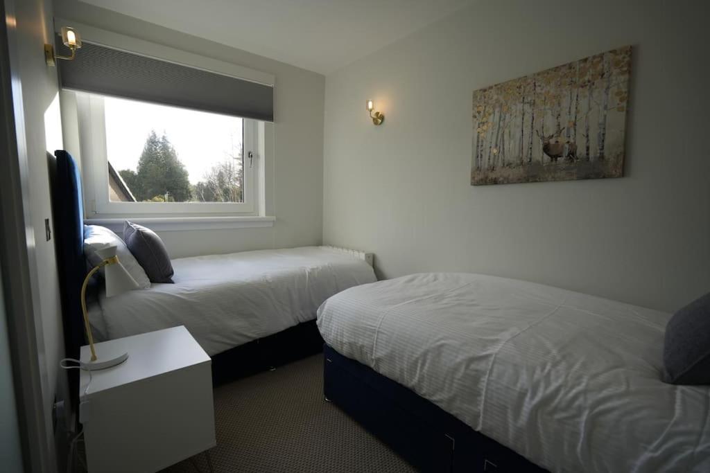 Quiet 2 Bedroom Gem In Stirling Apartment