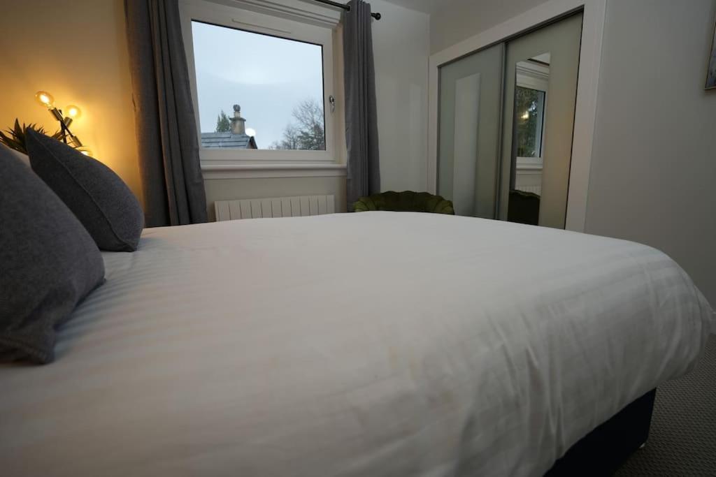 Quiet 2 Bedroom Gem In Stirling Apartment